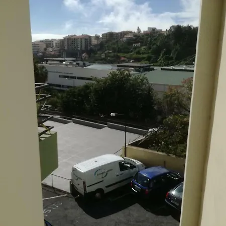 Madeira Gardens *