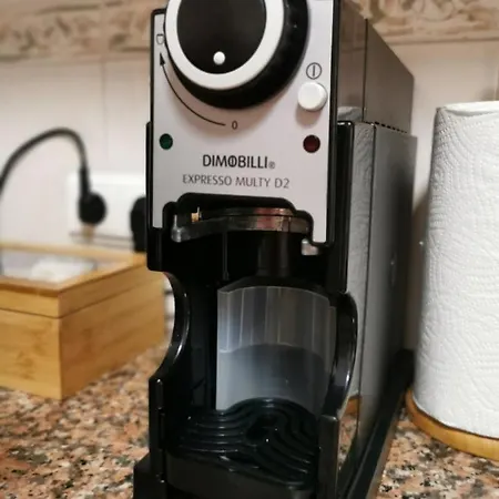 Madeira Funchal Gardens * Funchal (Madeira)