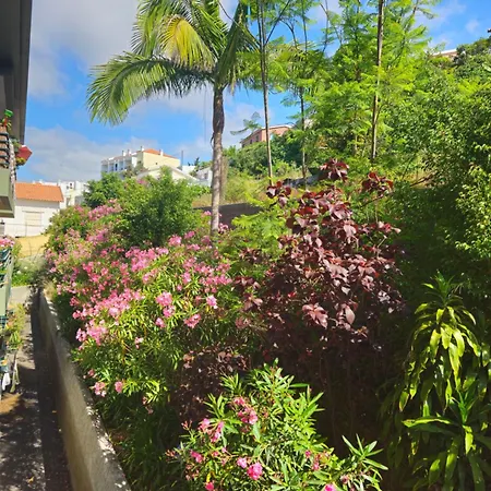 Madeira Gardens アパート *