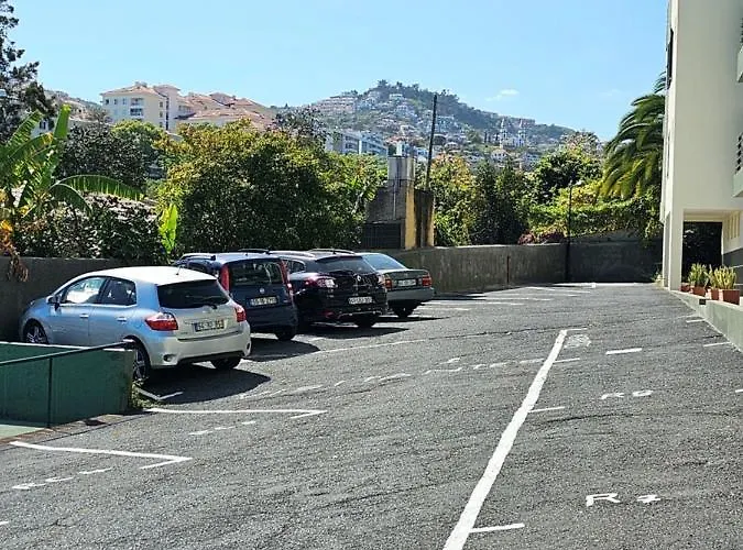 Madeira Gardens 丰沙尔