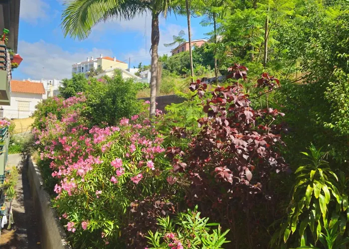 Madeira Gardens 公寓 *