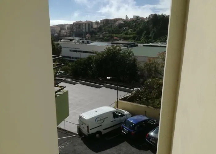 Madeira Gardens *