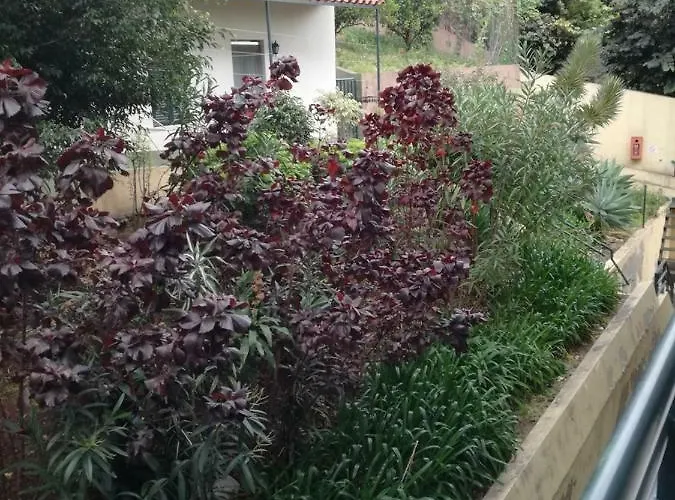 Madeira Gardens דירה