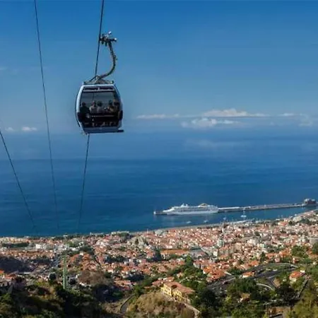 Madeira Funchal Gardens * Funchal (Madeira)