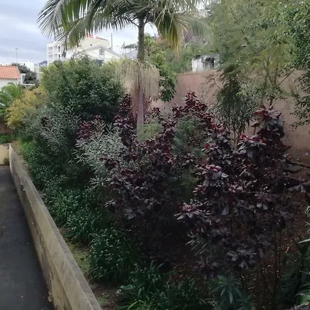 Madeira Funchal Gardens Apartment