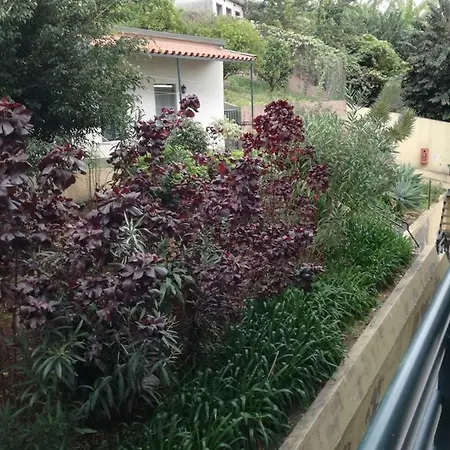 Madeira Funchal Gardens Apartment